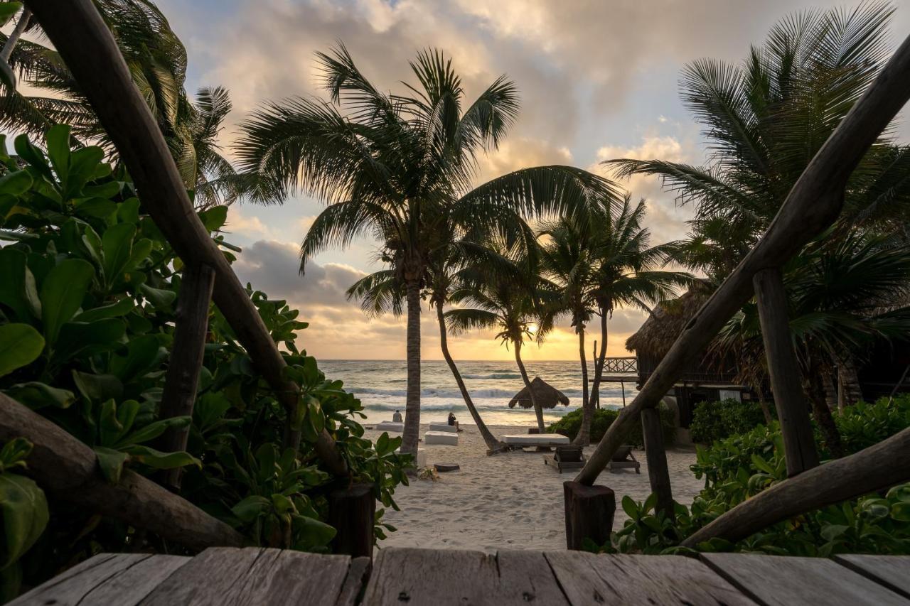 Luv Tulum Hotel Eksteriør billede