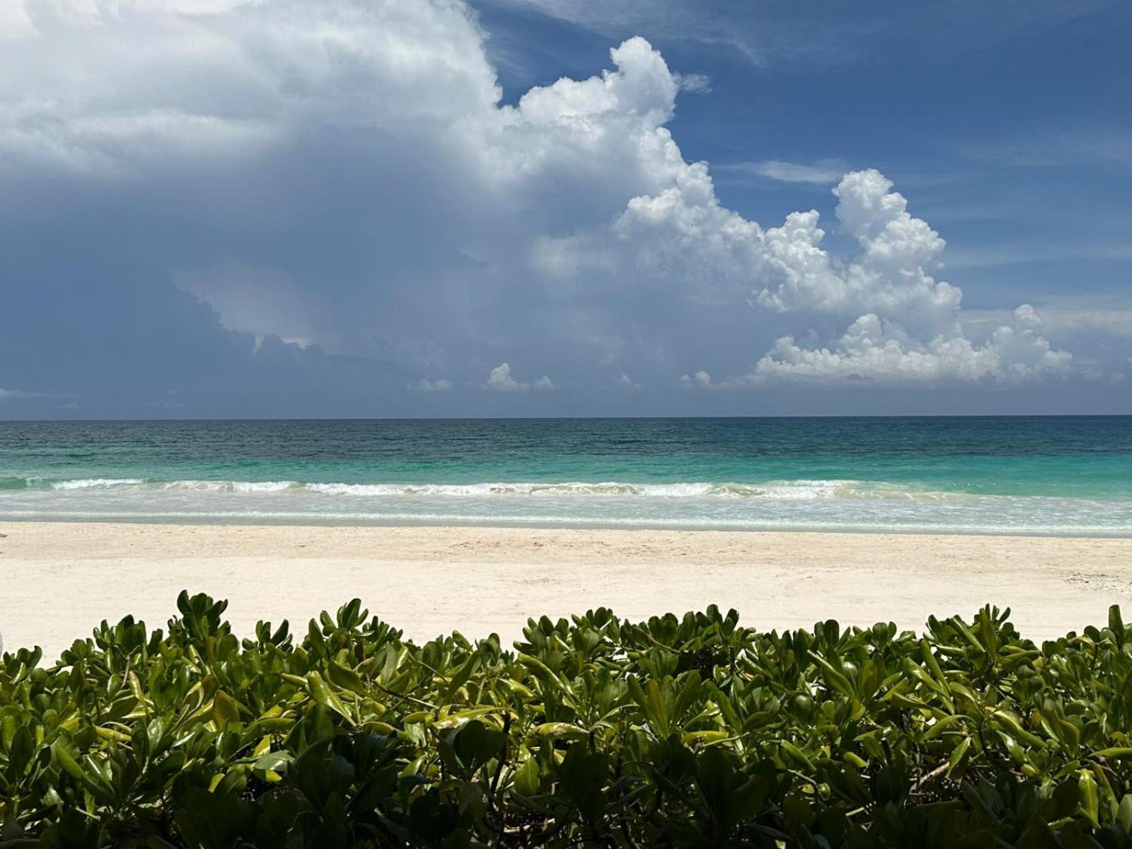Luv Tulum Hotel Eksteriør billede